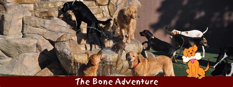 The Bone Adventure 